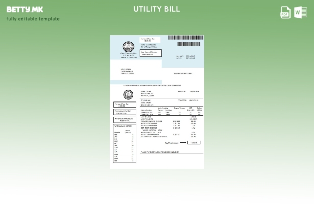 Модерен стил на шаблон за сметки за вода во САД Флорида